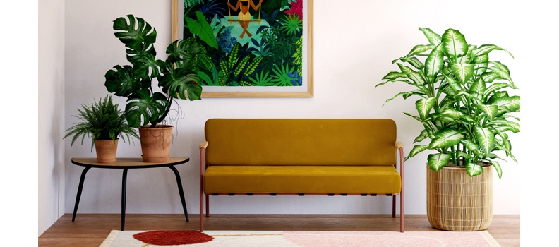Canapés design : Confort et style pour votre salon  – Les Gambettes
